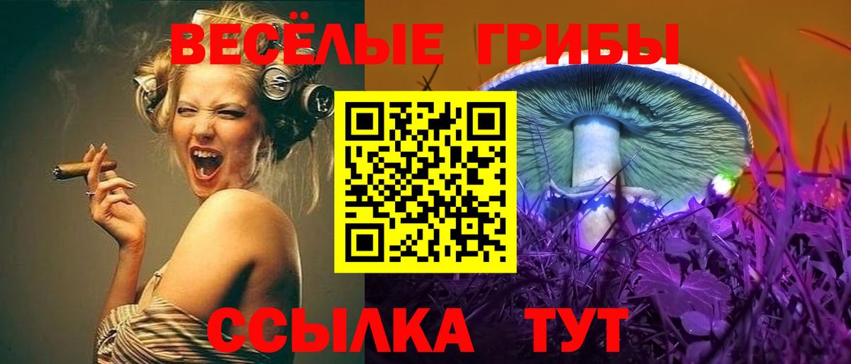 Муром  Галлюциногенные грибы мицелий  Вход с VPN  Псилоцибиновые грибы Magic Shrooms 